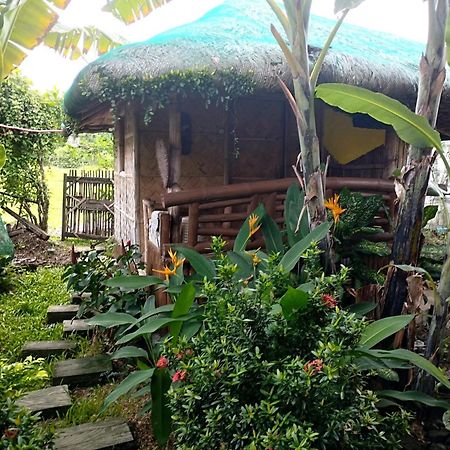 Dupas Luce Love Lodges Talipan エクステリア 写真