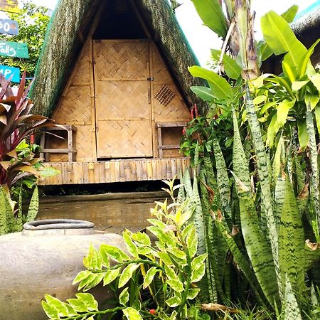 Dupas Luce Love Lodges Talipan エクステリア 写真