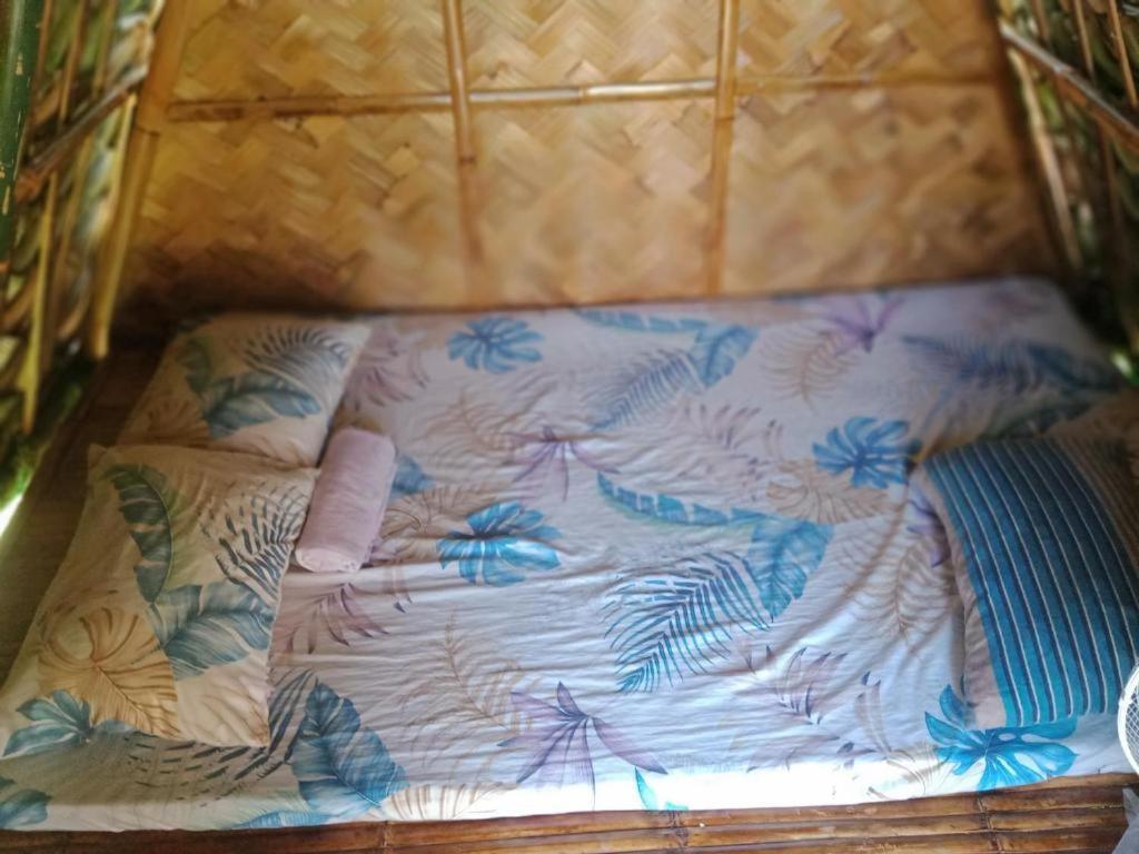 Dupas Luce Love Lodges Talipan エクステリア 写真