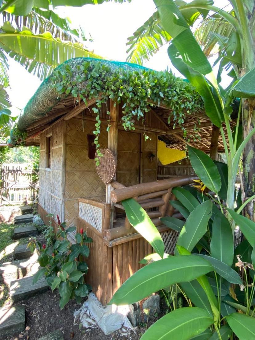 Dupas Luce Love Lodges Talipan エクステリア 写真
